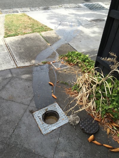 Photos of Blocked Drain Plumbers