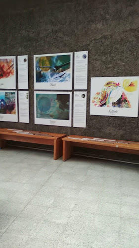 Horarios de Campus Villarrica UC - Pontificia Universidad Católica de Chile