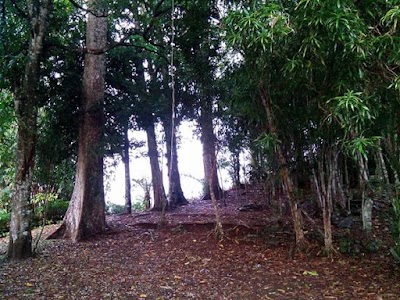 Photos of Pura Siwa