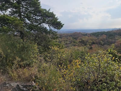 Henning Scenic Overlook