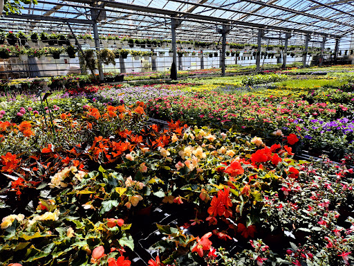 Photo de Les jardins d'Avremesnil à Avremesnil (76730)