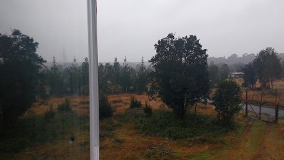 Photos of Los Pinis, Ilque