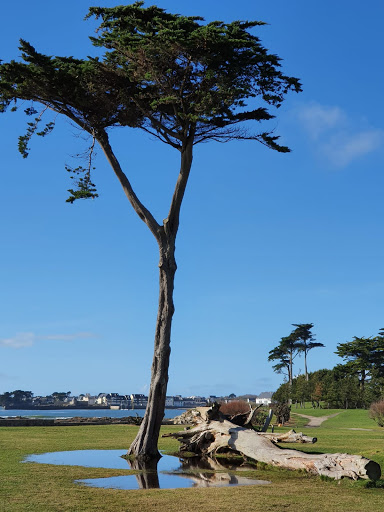 Eric Boussemart coach et conseiller immobilier SAFTI Larmor-Plage - Thumbnail