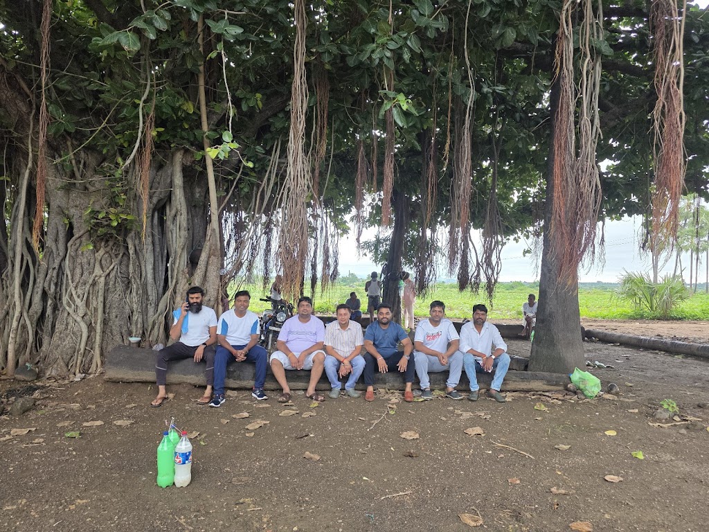 Tathvamasi Fitness Club Tfc Yoga