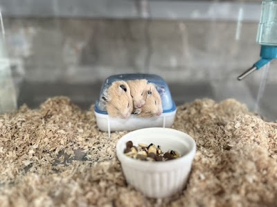 ふわりーず 掛川 小動物ふれあい専門