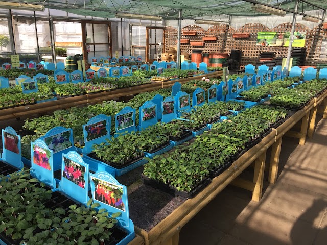 Beechcroft Nurseries & Garden Centre