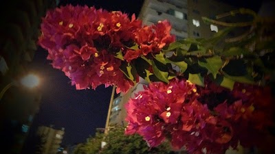 Photos of İnge Beyhan &Ccedil;ocuk Ve Dinlenme Parkı