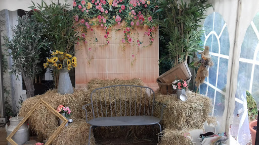 Photo 3 - Leleu Thierry