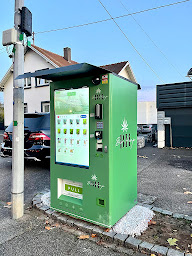 Photo n°30 de CBD STRASBOURG BIO HEMP à Strasbourg (Magasin de cannabis)