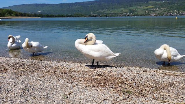 Camping Gemeinde Erlach