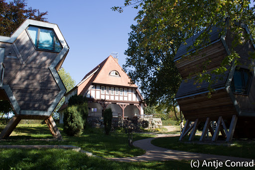Grüne Wiek - Wabenhausherberge an der Ostsee - Thumbnail