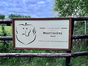 Photo n°7 de Les Chevaux de la Martinière - Equicoaching à Saint-Germain-de-Livet (Coaching professionnel)