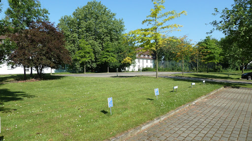 Hildesheim Flugplatz Gallery - Germany