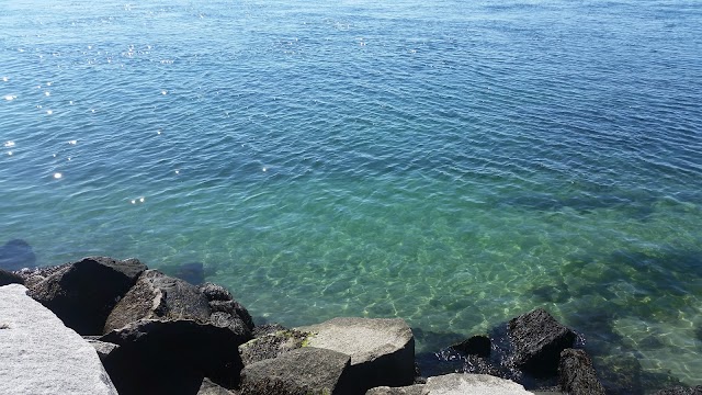 Scusset Beach State Reservation
