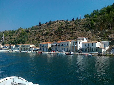 Photos of Kaikia