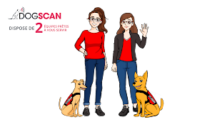 Photo n°13 de DogScan - Détection des punaises de lit - Ile-de-France à Orgeval (Service d'extermination des nuisibles)