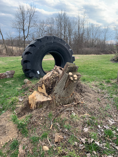 Stump King Stump Removal - Thumbnail