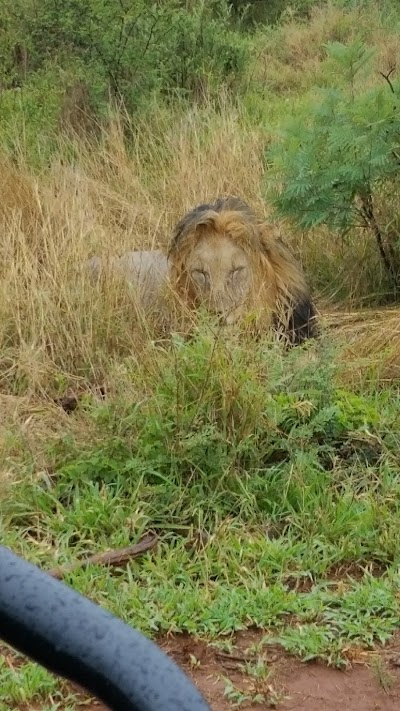 Photos of Mooifontein