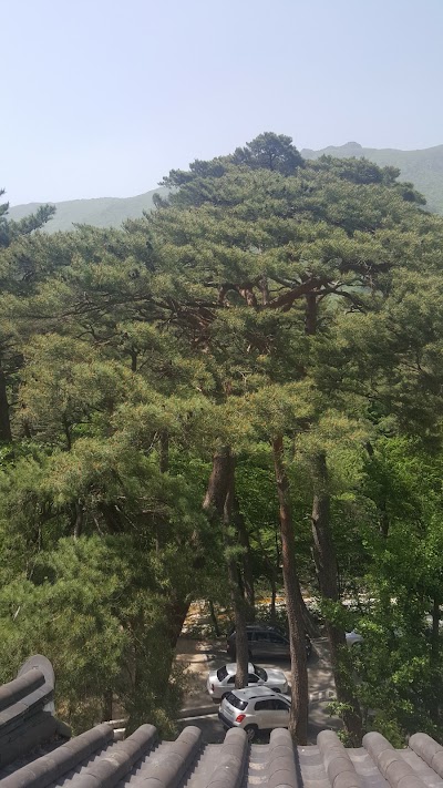 Photos of Jajang-Am