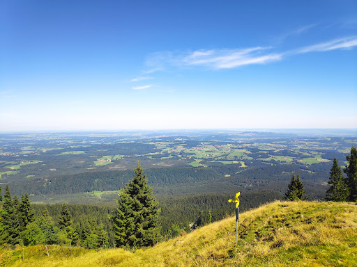 Niederbleick - Visual