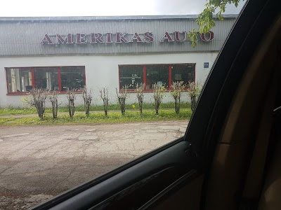car-dealer