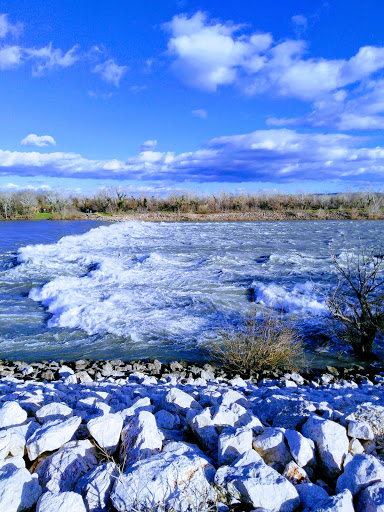 Refuge CANIN Occitanie Beaucaire