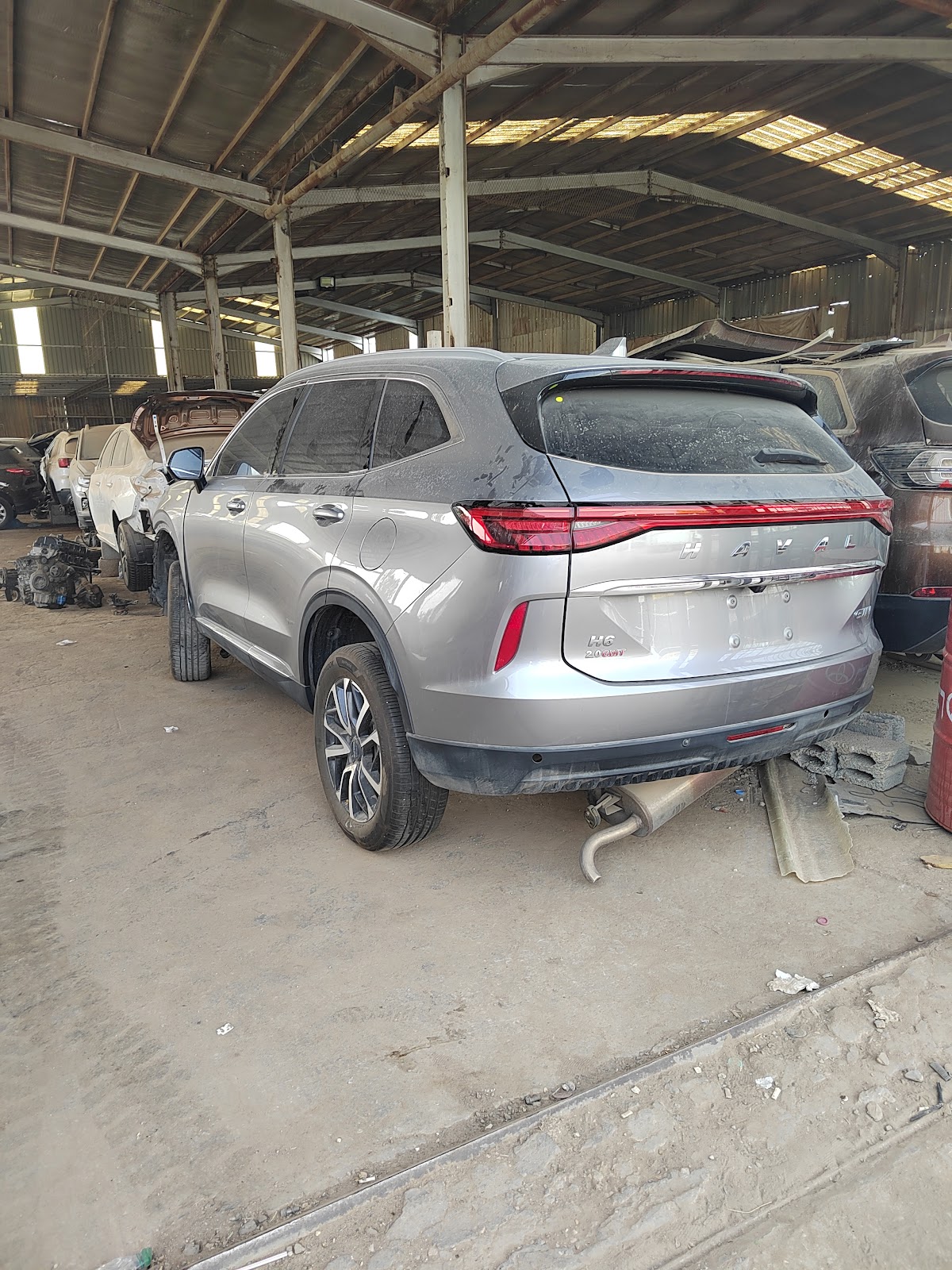 تشليح هاني المطلق - صورة 2