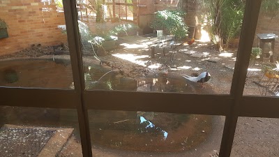 Photos of Bird and Exotic Animal Hospital