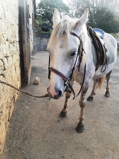Ranch De Chadenac - Thumbnail