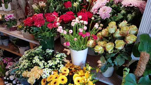 Blumenkiste Lüdemann - Thumbnail