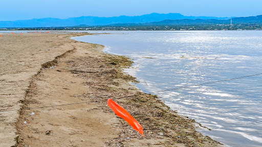 Punta del Fangar - Thumbnail