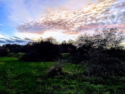 Gendtse Polder