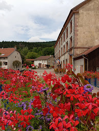 Photo n°3 de Mairie à Wisembach (Hôtel de ville)