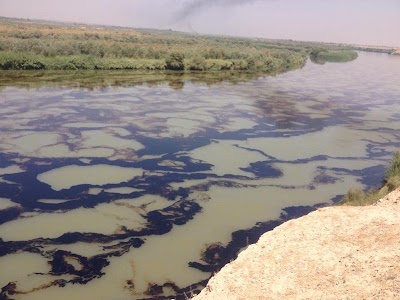 Photos of المعبر