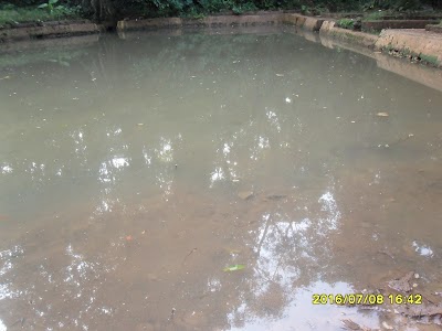 Photos of Wana Wisata Sumber Semen