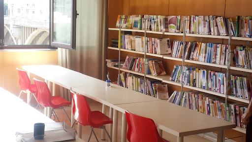 I+D CAPACITACIÓN PROFESIONAL s.XXI