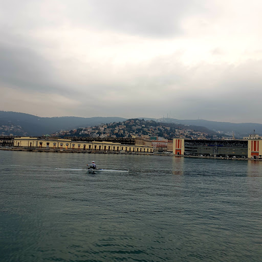 Molo della Pescheria - Thumbnail