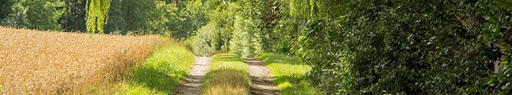 PHYSIOTHERAPIE WESTERRADE