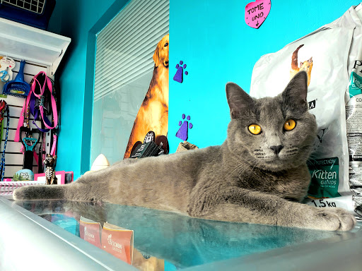 Centro Veterinario Xochimilco