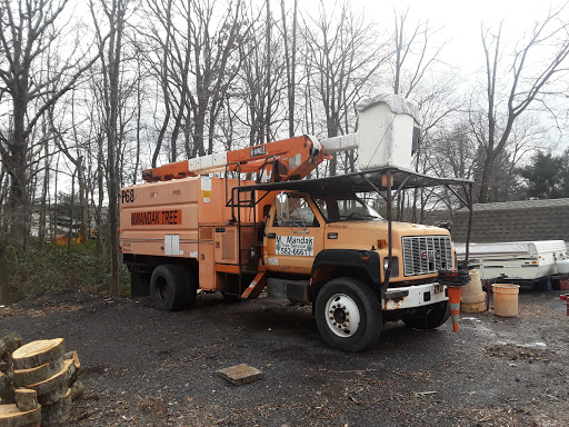 Mandak Tree Services - Visual