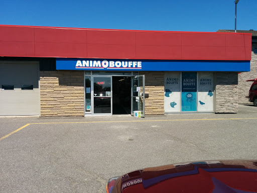 AnimObouffe Lévis - Thumbnail