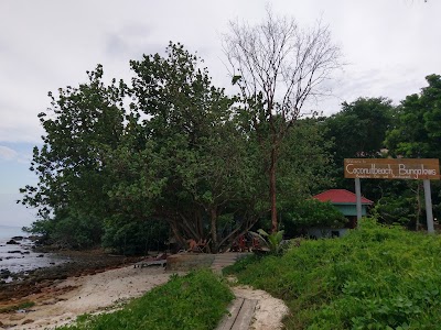 Photos of Coconut Beach Bungalows
