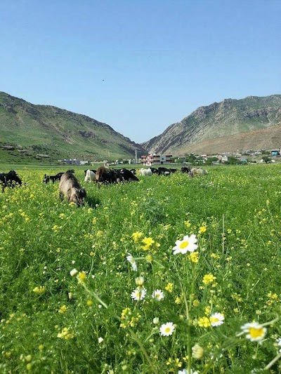 Koçbeyiköy Mezarlığı