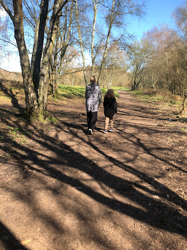 Highgate Common - Visual