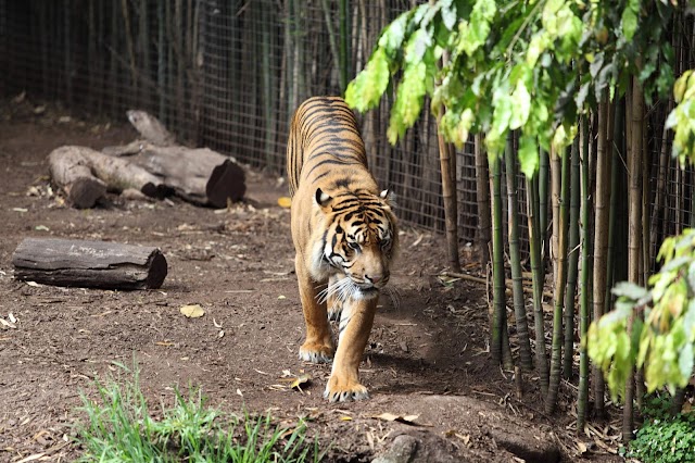 Zoo de Melbourne