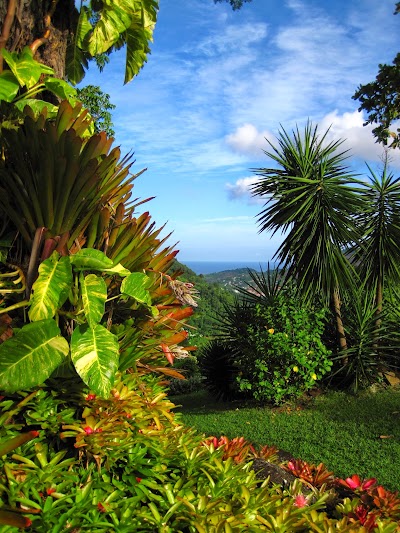 Photos of Sunnyside Garden