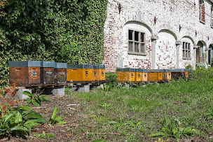 Photo n°8 de Pépinières Drappier à Lecelles (Pépinière)