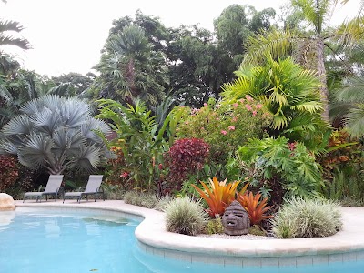 Photos of Azania Bungalows