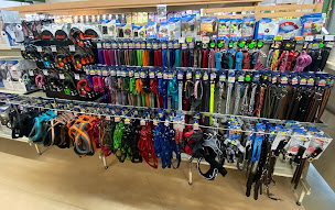 Photo n°8 de ANIMALOIRE - Animalerie La Chapelle St Mesmin à La Chapelle-Saint-Mesmin (Animalerie)