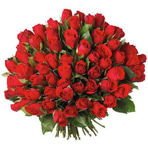 Flori in Galati-Braila